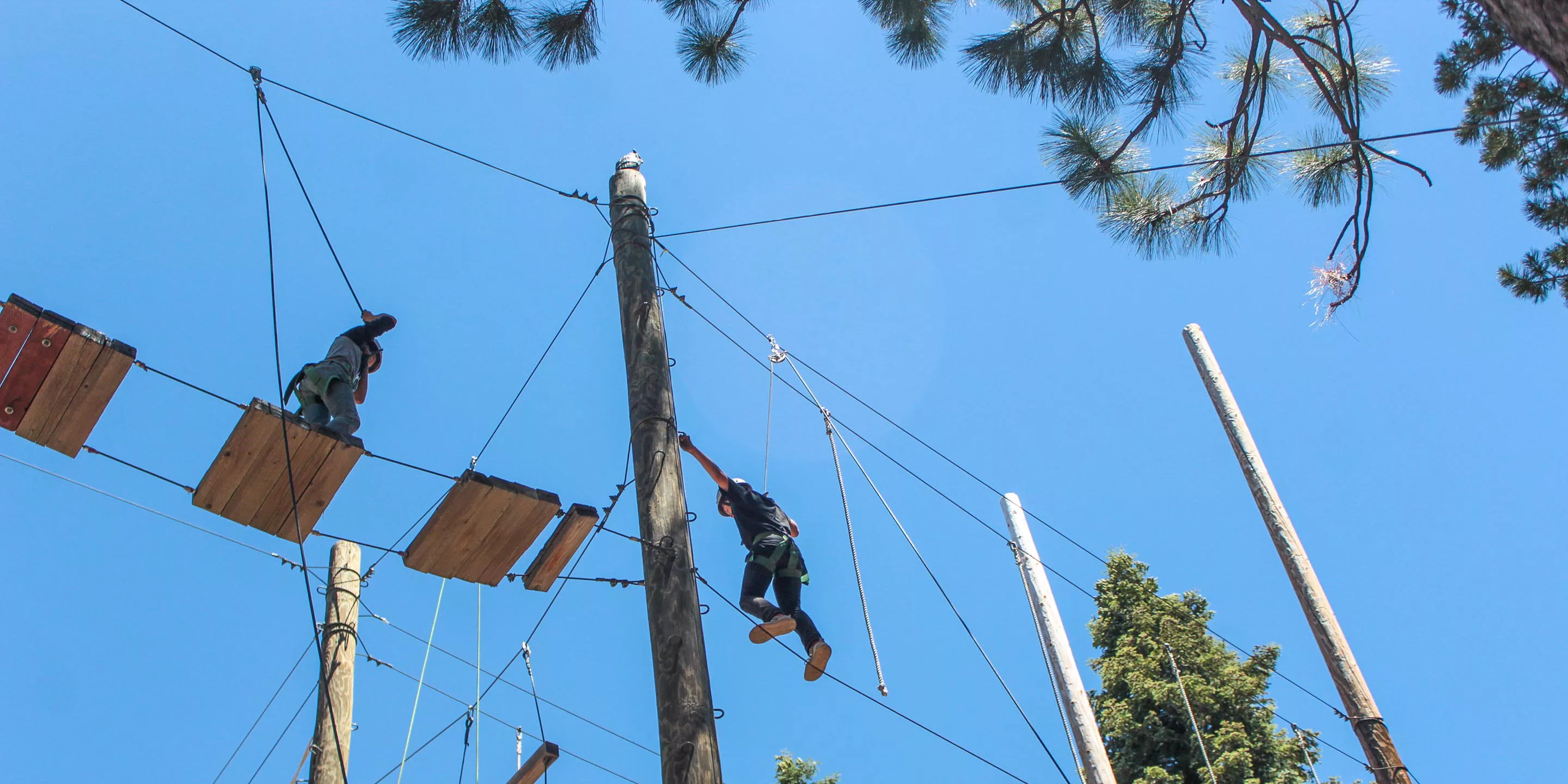 Campers on high ropes course
