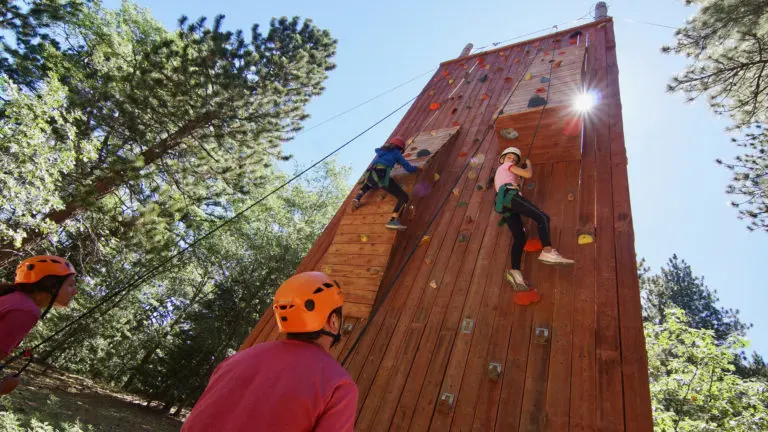 kids climbing a rock wall