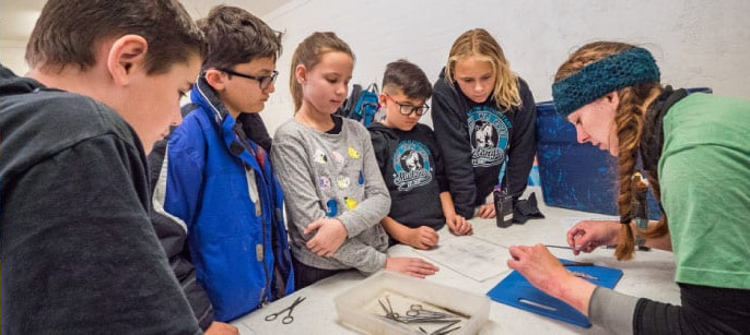 Campers gathered around a science experiment