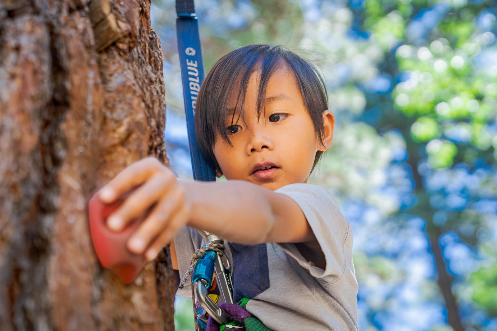 Pali Adventures Mini Camp 19